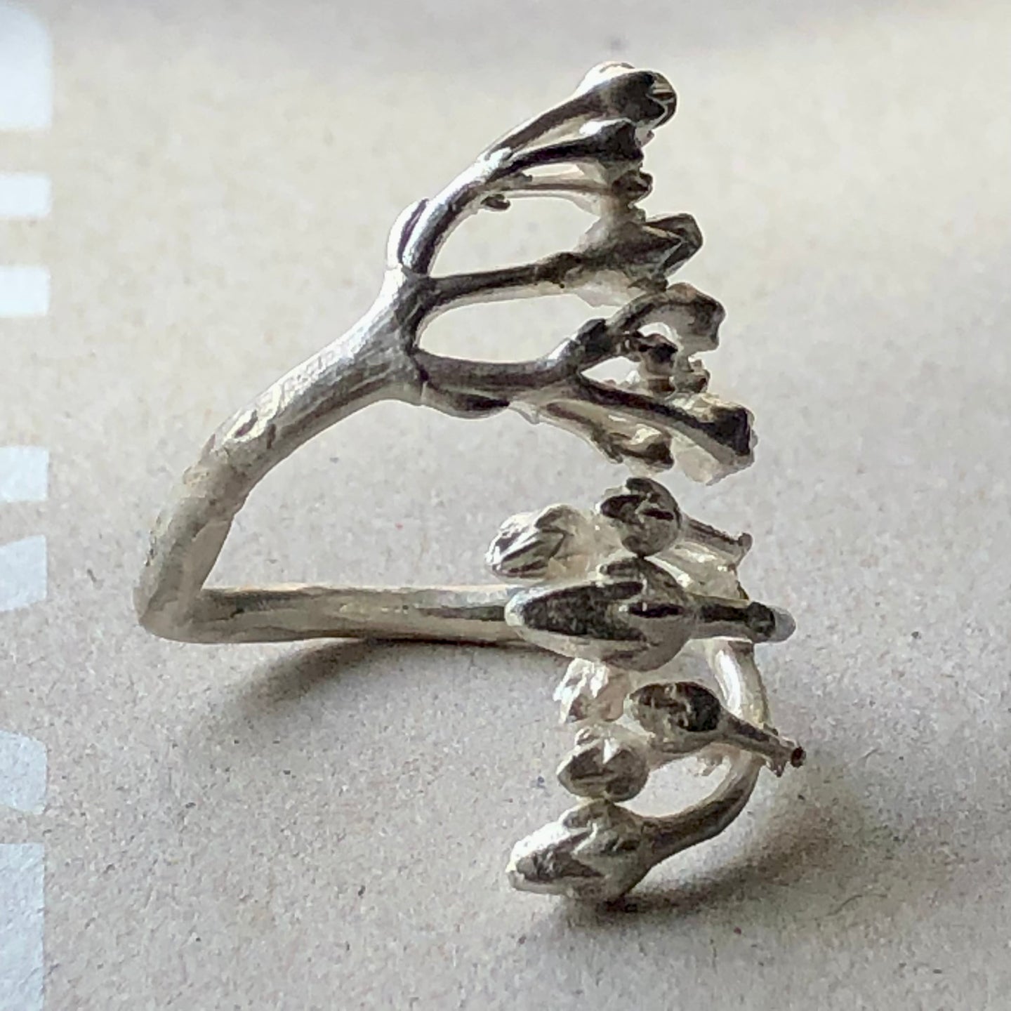 anillo orgánico