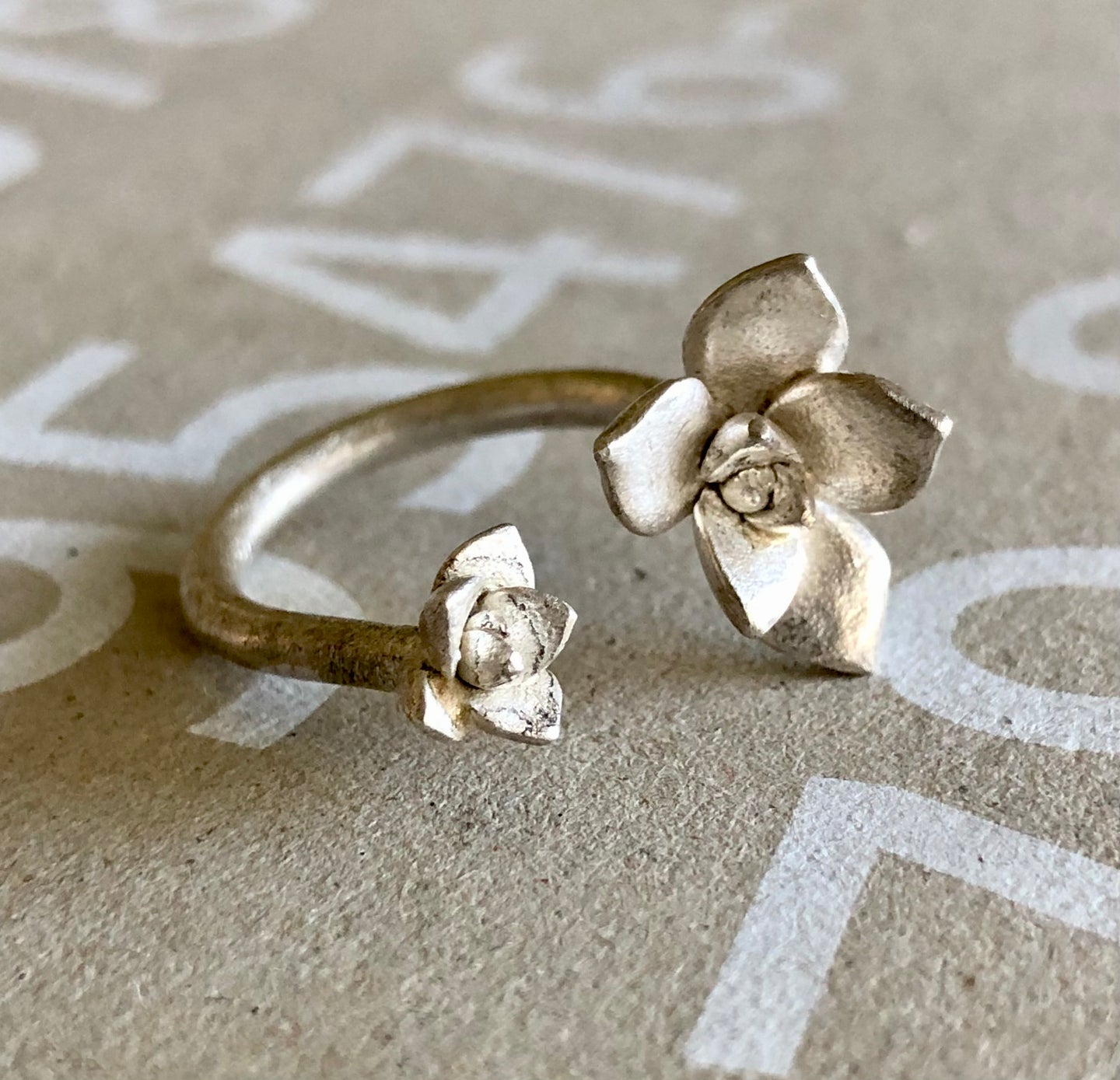 anillo suculentas