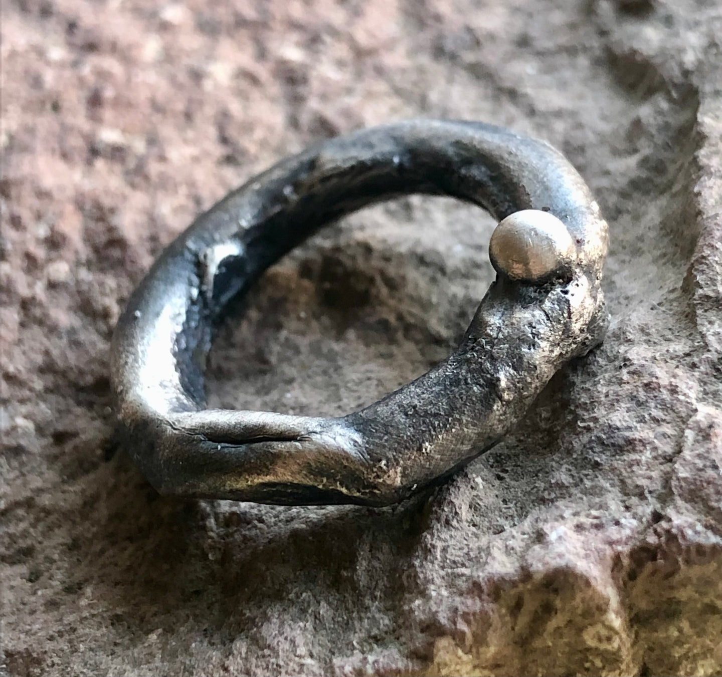 anillo orgánico